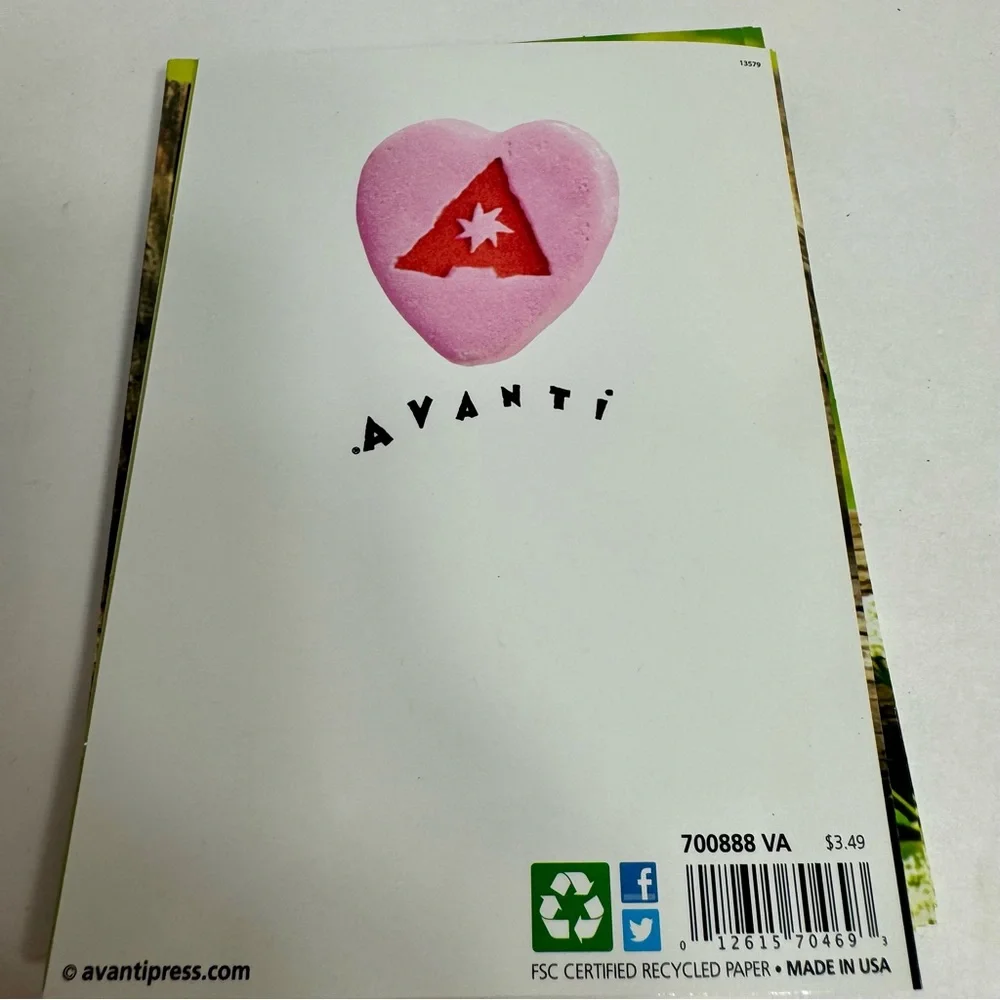 5 Avanti Greeting cards - Chipmunks hugs and kisses Holiday: Valentine’s Day L